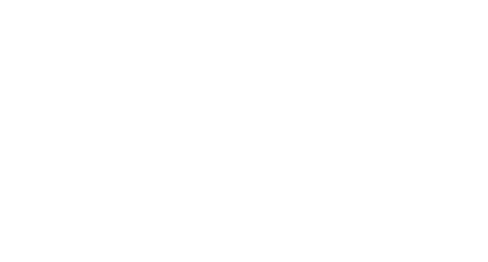 Equivet